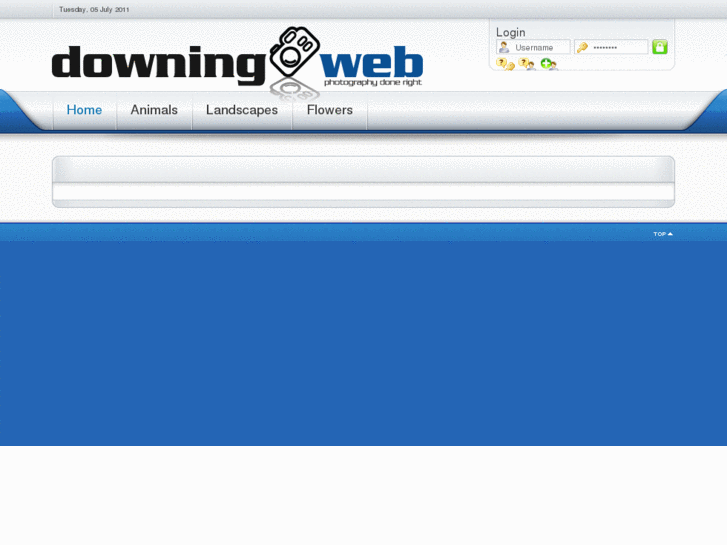 www.downingweb.com