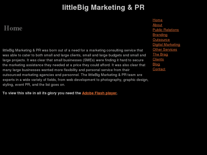 www.littlebigmarketing.com