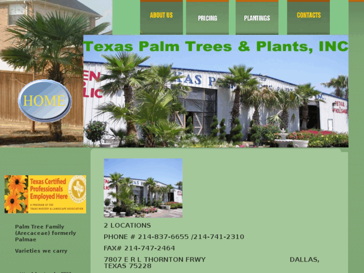 www.texaspalmtreesdallas.com