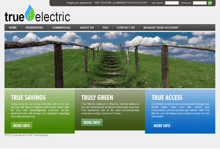 www.trueelectricllc.com