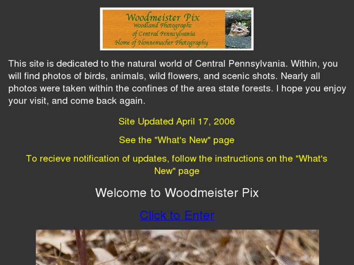 www.woodmeisterpix.com