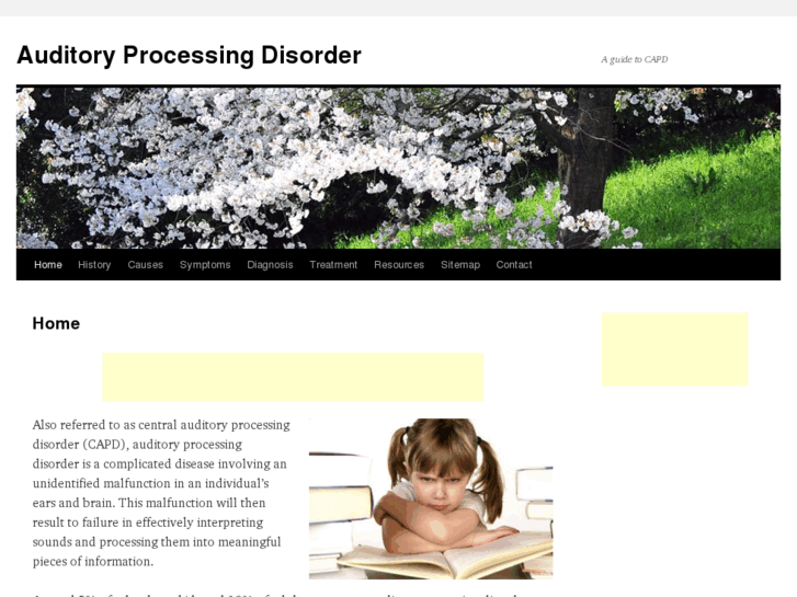 www.auditoryprocessingdisorder.net