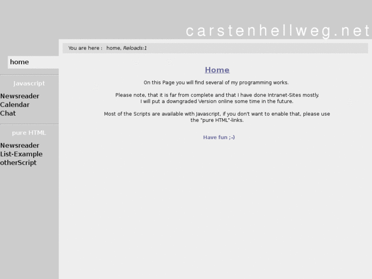 www.carstenhellweg.net