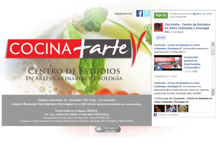 www.cocinamasarte.com