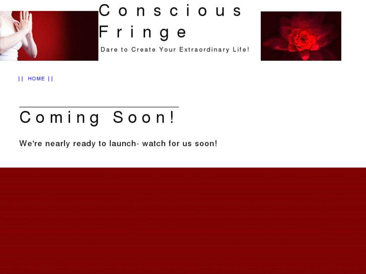 www.consciousfringe.net