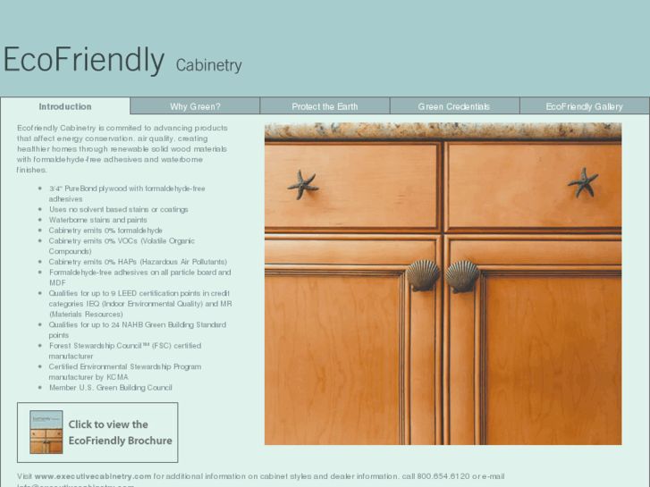 www.ecofriendlycabinets.com