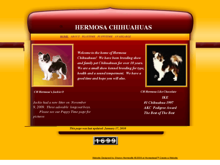 www.hermosachihuahuas.com