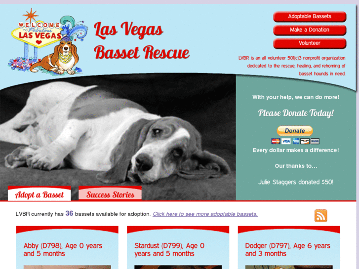 www.rescuebassets.com