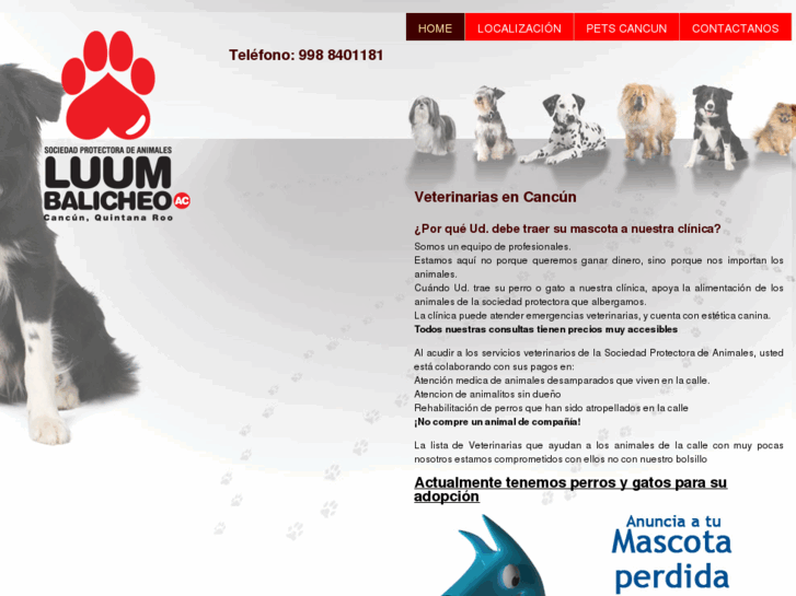 www.veterinariascancun.com