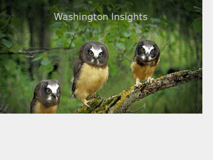 www.washingtoninsights.com