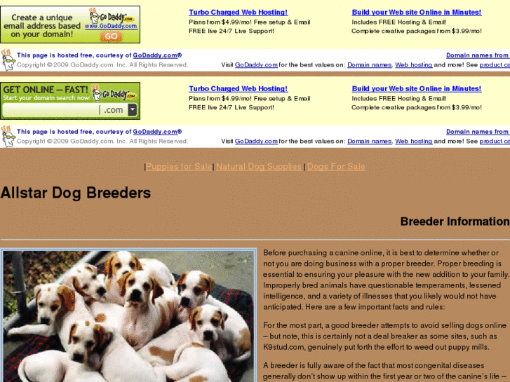 www.allstarbreeder.com