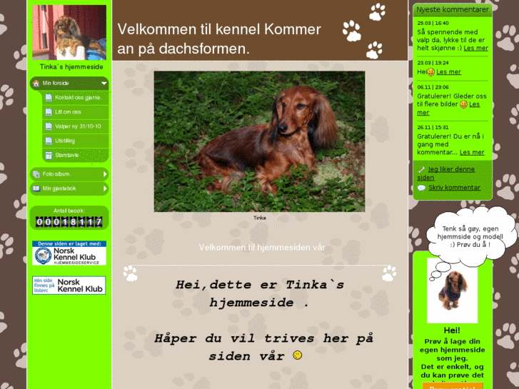 www.kommer-ann-pa-dachsformen.com