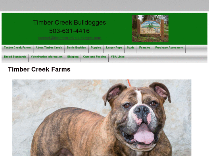 www.timbercreekbulldogges.com