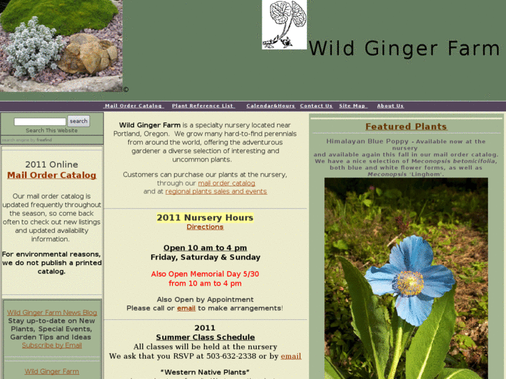www.wildgingernursery.com