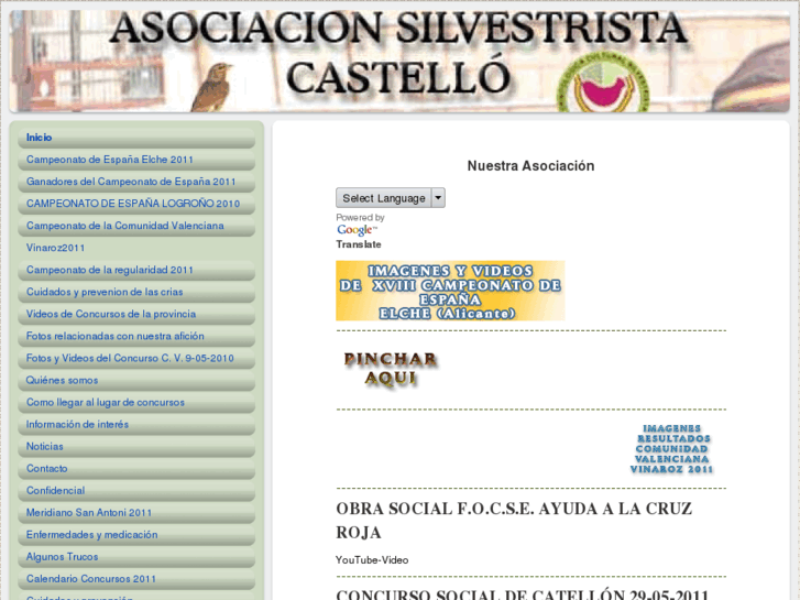 www.asociacion-silvestrista-castello.es