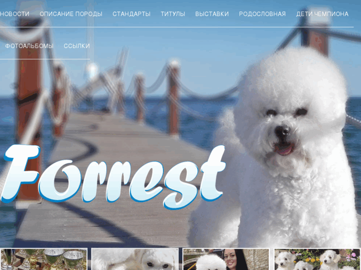 www.bichonforrest.com