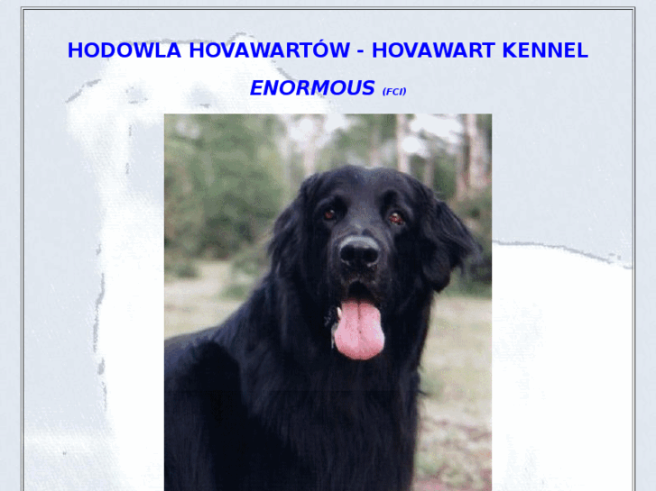 www.hovawart-pl.com