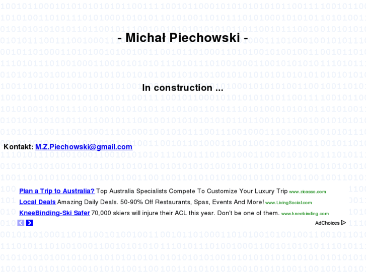 www.michalpiechowski.com