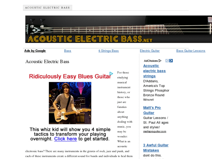 www.acousticelectricbass.net