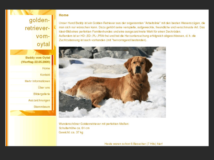 www.golden-retriever-vom-oytal.com