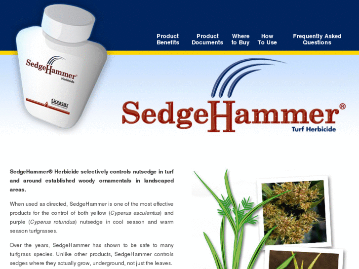 www.sedgehammer.com