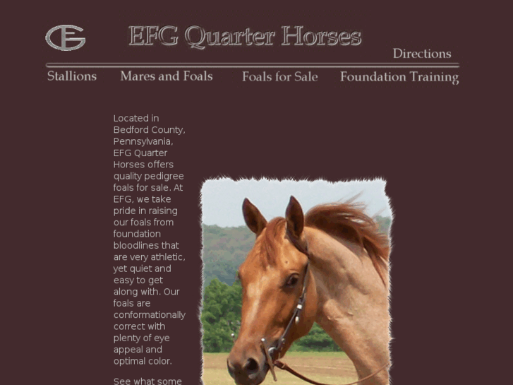 www.efgquarterhorses.com