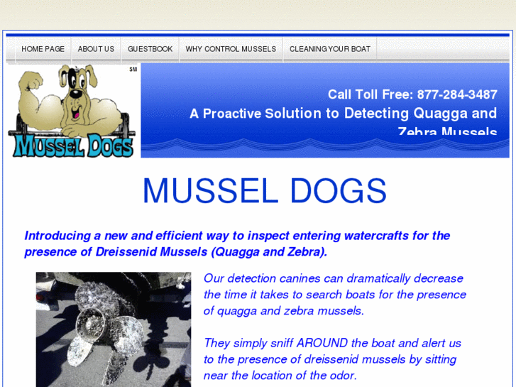 www.musseldogs.info