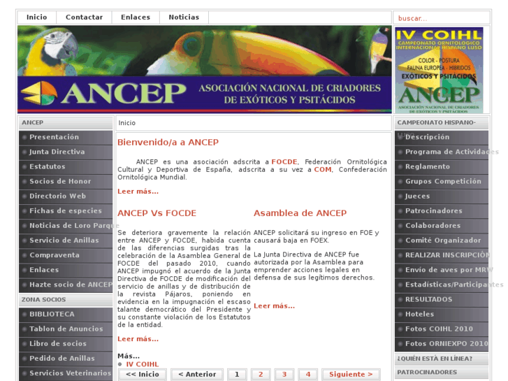 www.ancep.es