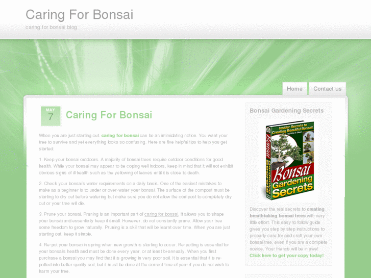 www.caringforbonsaiblog.com