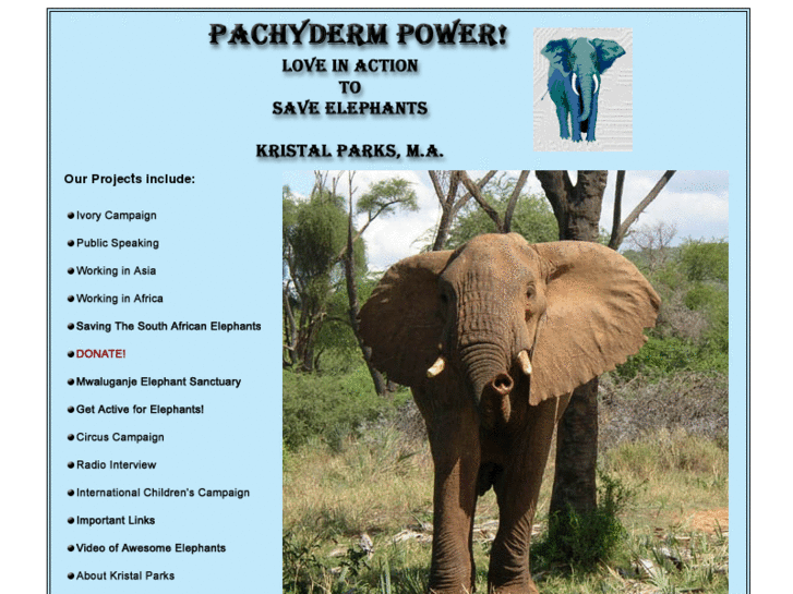 www.elephantpower.org