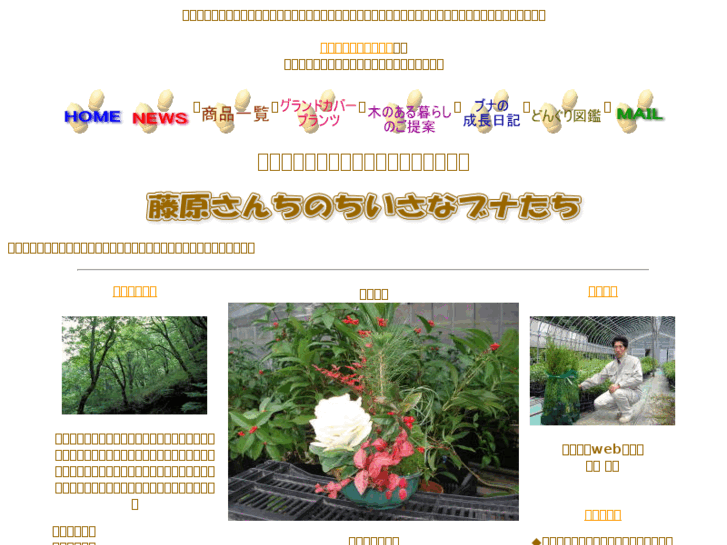 www.fujiwara-nursery.com