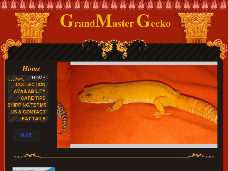 www.grandmastergecko.com