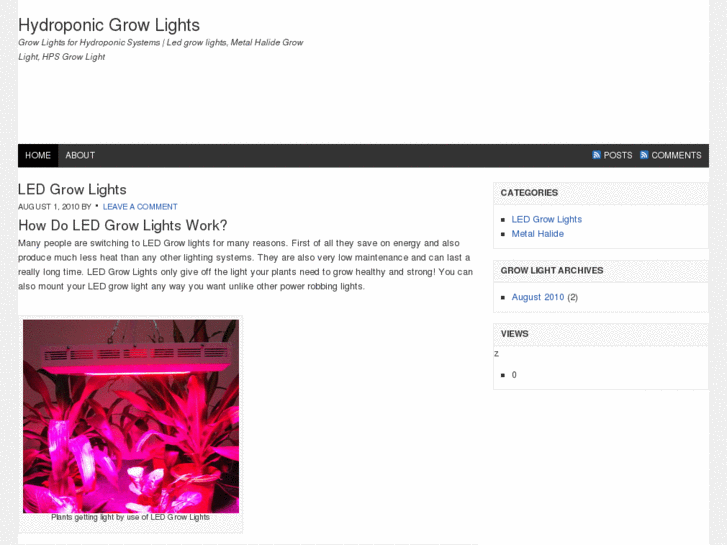 www.hydroponicgrowlights.co