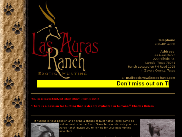 www.texas-hunts.com