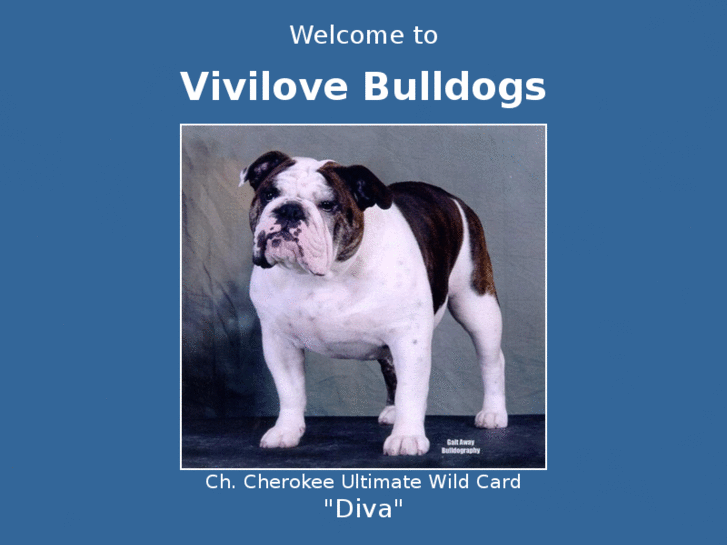 www.vivilovebullies.com