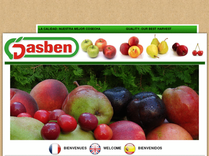 www.dasben.es