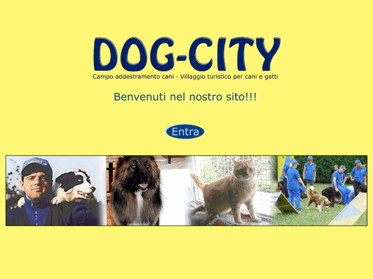 www.dog-city.it