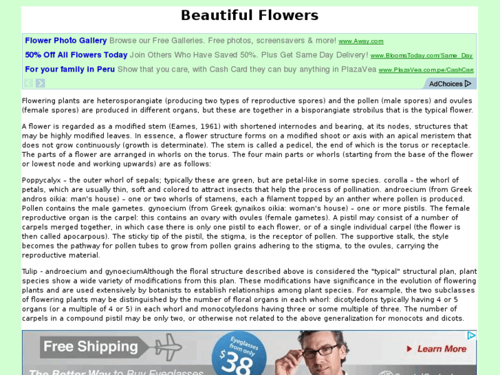 www.flower-qcy.com