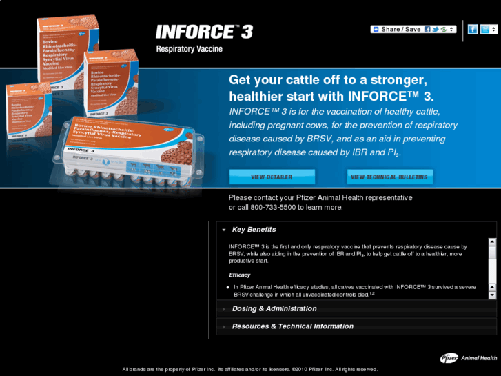 www.inforce3.com