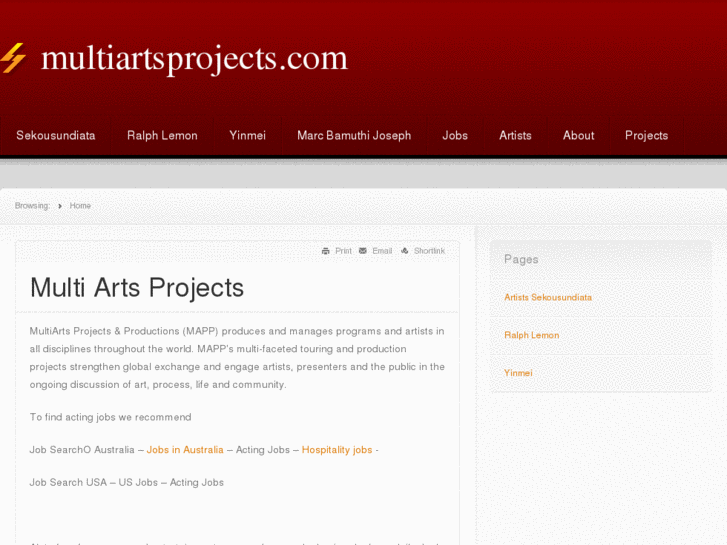 www.multiartsprojects.com