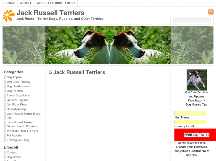 www.myjackrussellterriers.com