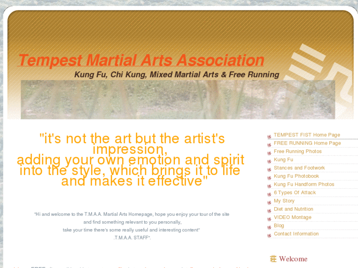 www.tempestmartialartsassociation.com