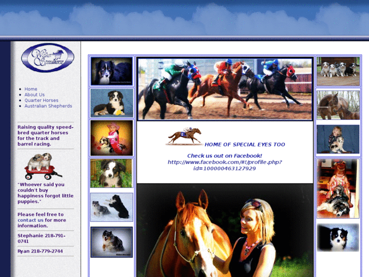 www.walkerspeedhorse.com