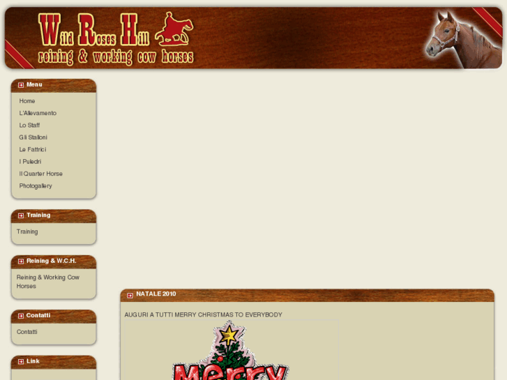 www.wrhquarterhorses.com