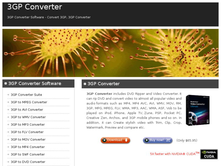 www.3gp-converter.org