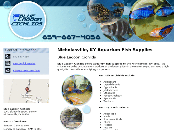 www.bluelagooncichlids.net