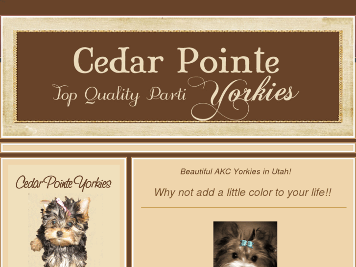 www.cedarpointeyorkies.com