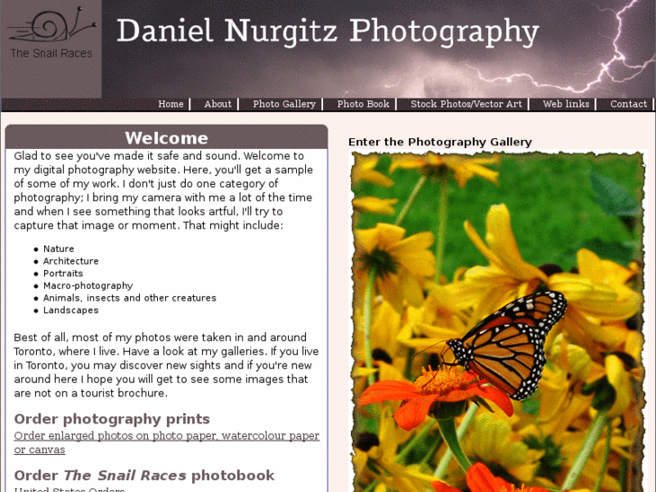 www.danielnurgitz.com