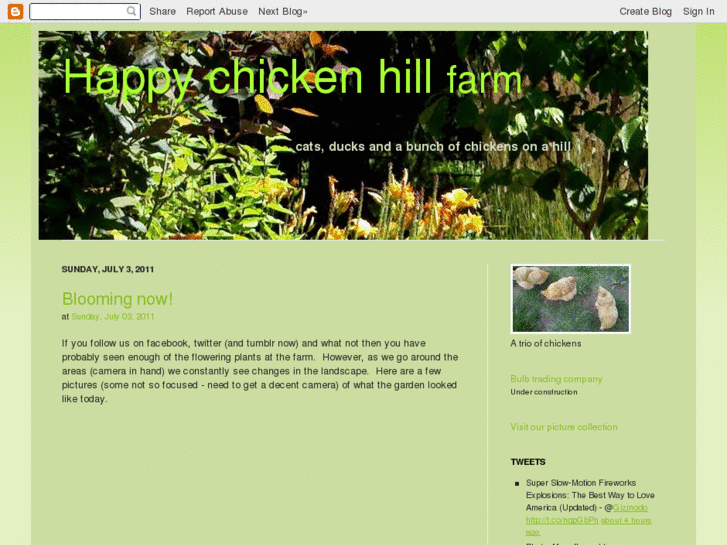 www.happychickenhill.com