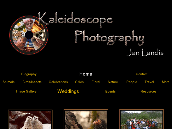 www.janlandisphotography.com